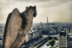 Atop the Notre Dame Cathedral in Paris