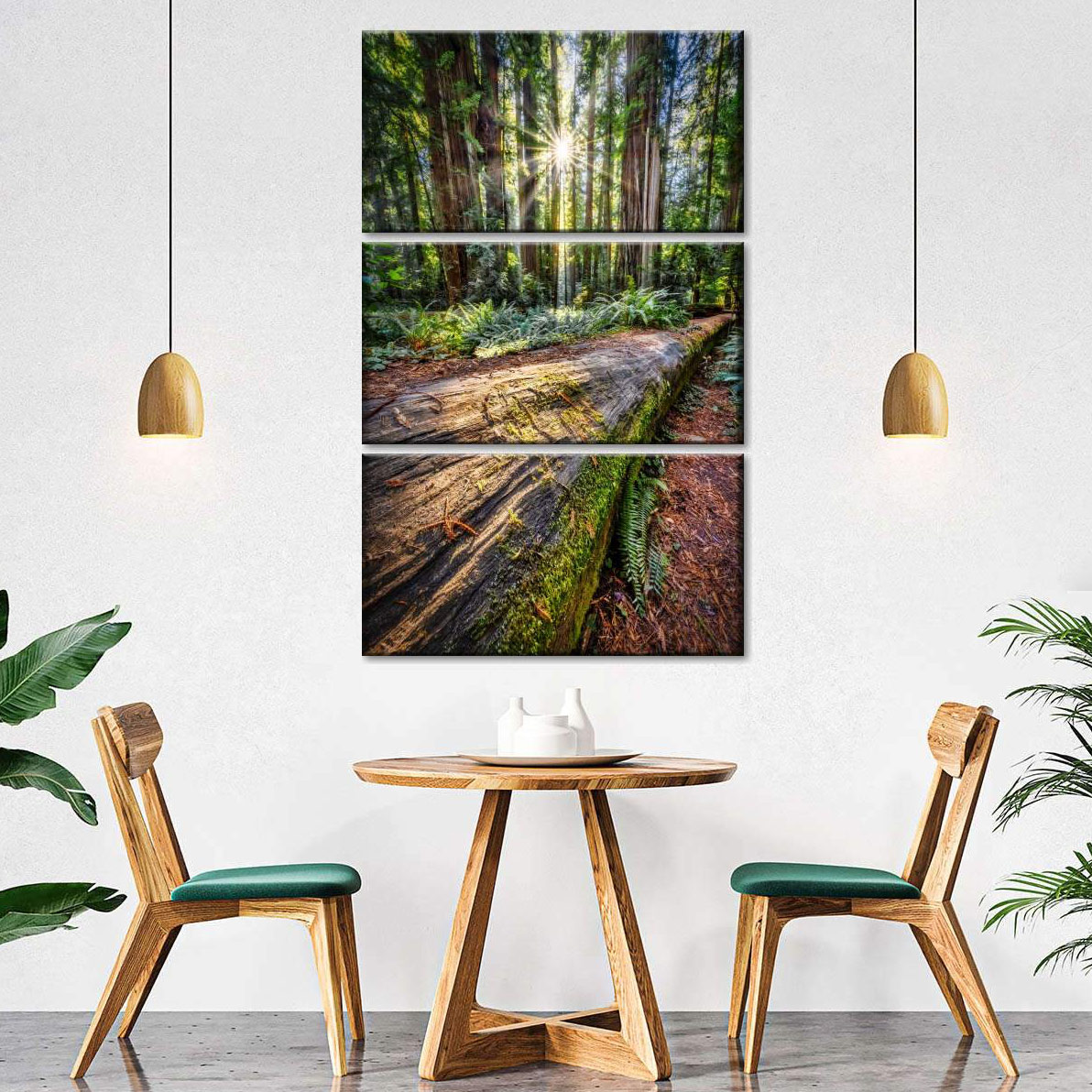 redwoods_interior