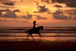 Woman riding horse on the beach at sunset  in Costa Rica 