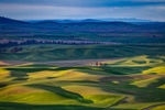 The incredible view from Steptoe Butte