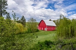 My favorite red barn in the Palouse