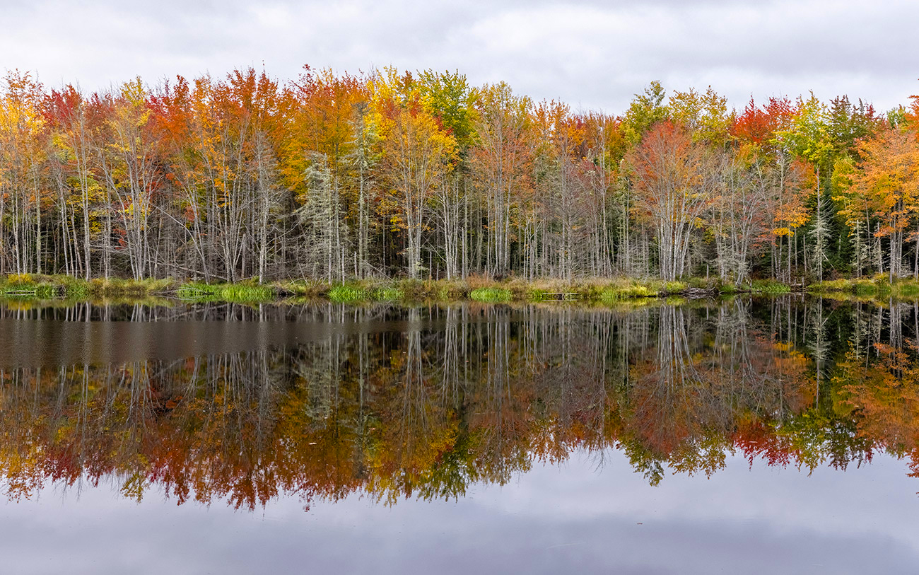 Fall color and reflections by Acadia National Park