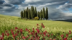 Val D'Orcia in Tuscany