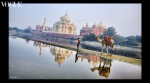 Backside of the Taj Mahal