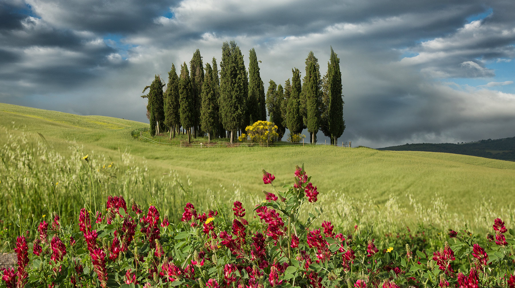 tuscany_val_dorcia_red_flowers_intro_italy