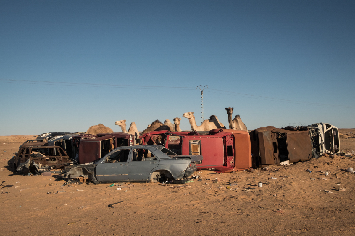 Tindouf's Saharawi refugee camps. Rabouni