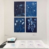 Photograms from the series In My Courtyard Vitrine installation view from Meaning Making, The Interchurch Center NYC © 2023 Ann Giordano All Rights Reserved