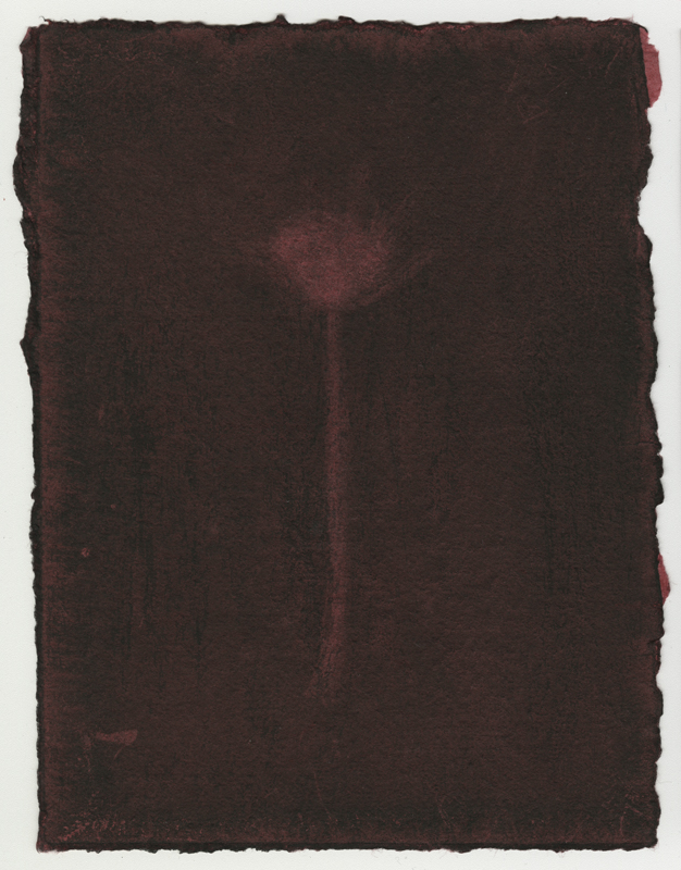 Rose Red Rose Black.  Gum Bichromate from the Series, In My Courtyard.  ag_0000_4314 Color Rights Managed Image Copyright © 2023 Ann Giordano All Rights Reserved 