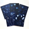 Five Blank Queen Anne's Lace Revisited Cards from the series In My Courtyard with envelopes7 x 5 inches1000.0076****$35.00 plus Shipping and Handling