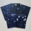 Five Blank Queen Anne's Lace Revisited Cards from the series In My Courtyard with envelopes7 x 5 inches1000.0076****$35.00 plus Shipping and Handling