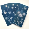Five Blank Queen Anne's Lace Cards from the series In My Courtyard with envelopes7 x 5 inches1000.0082****$35.00 plus Shipping and Handling