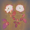 Two Roses.  Lumen Print from the Series, In My Courtyard.  ag_0000_3528  Color Rights Managed Image Copyright © 2014 Ann Giordano All Rights Reserved 