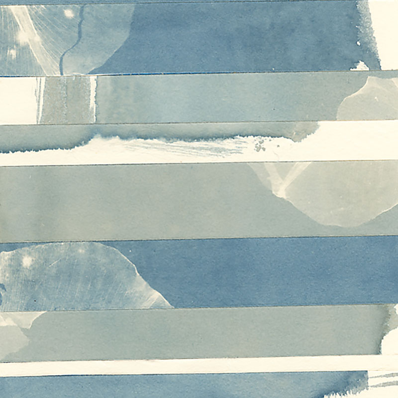 Fragments from the series In My Courtyard.  Unique Print with Cyanotype, Pigment and Watercolor from the Series, In My Courtyard.  ag_0000_3877 Color Rights Managed Image Copyright © 2017 Ann Giordano All Rights Reserved 