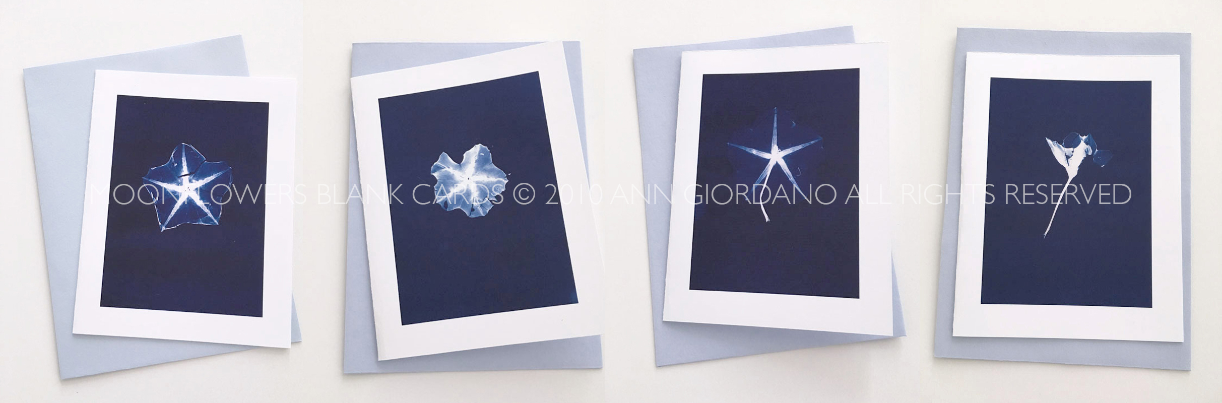 Four Blank Moonflower Cards from the series In My Courtyardwith envelopes5.5 x 4.25 inches1000.0047****$20.00 plus Shipping and Handling