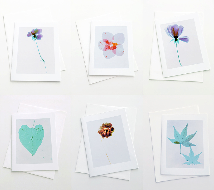 Six Blank Photogram Cards from the series In My Courtyardwith envelopes5.5 x 4.25 inches 1000.0048****SPRING SALE - ENDS APRIL 1 2024BUY ONE GET ONE FREE$30.00 plus Shipping and Handling