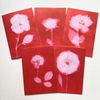 Five Blank Rose Red Cards from the series In My Courtyard with envelopes5.75 x 4.25 inches1000.0092****$30.00 plus Shipping and Handling        