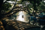 Boats pass along a small canal in central Alleppey.