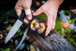 A fisherman cuts open a piece of fresh uni straight from the sea in Hokkaido, Japan.