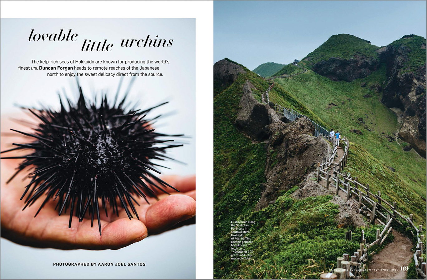 From an editorial travel story on sea urchin fishermen on Japan's northernmost island.