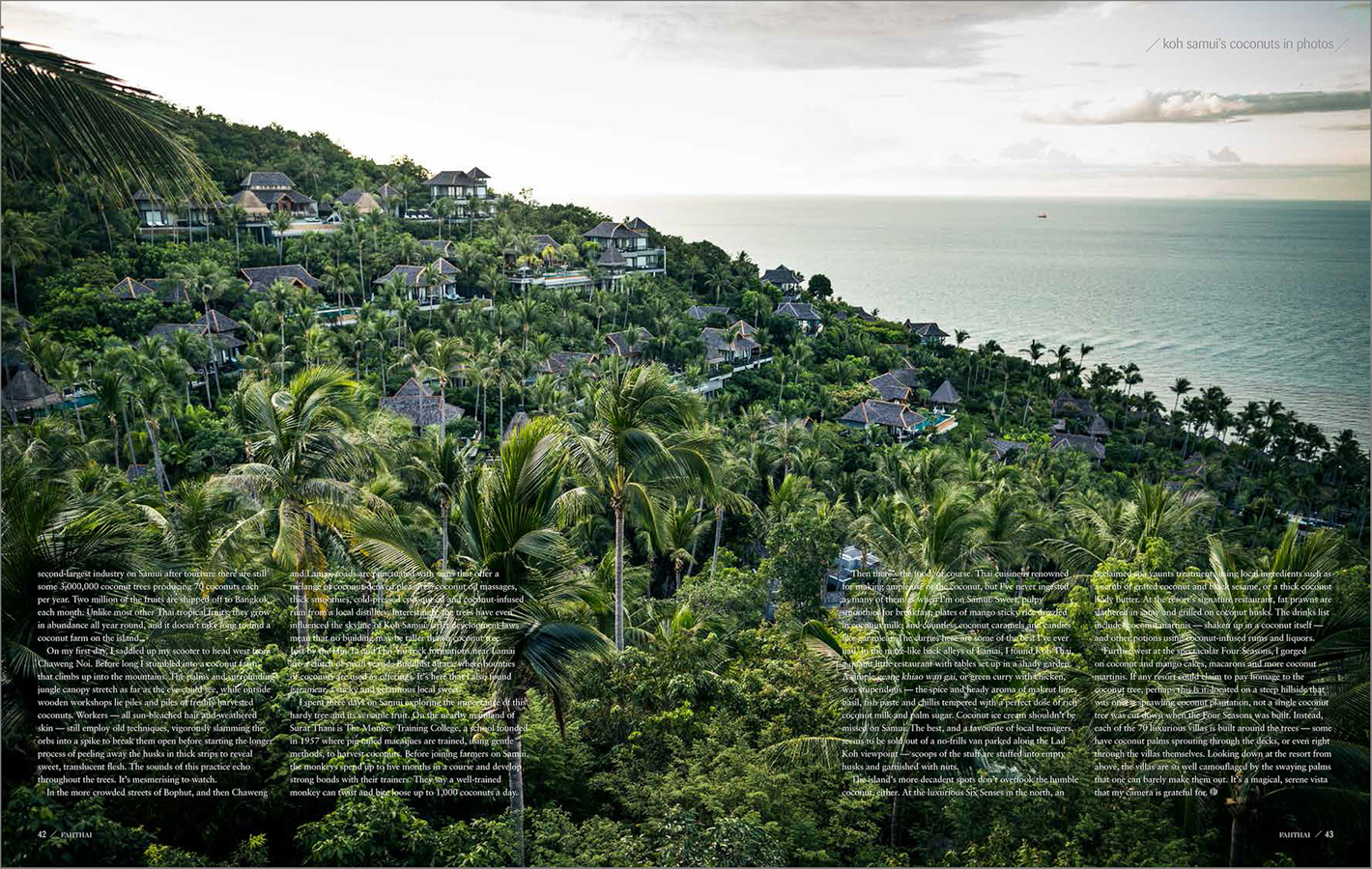 A feature travel story and photo essay on Ko Samui's coconut trade.