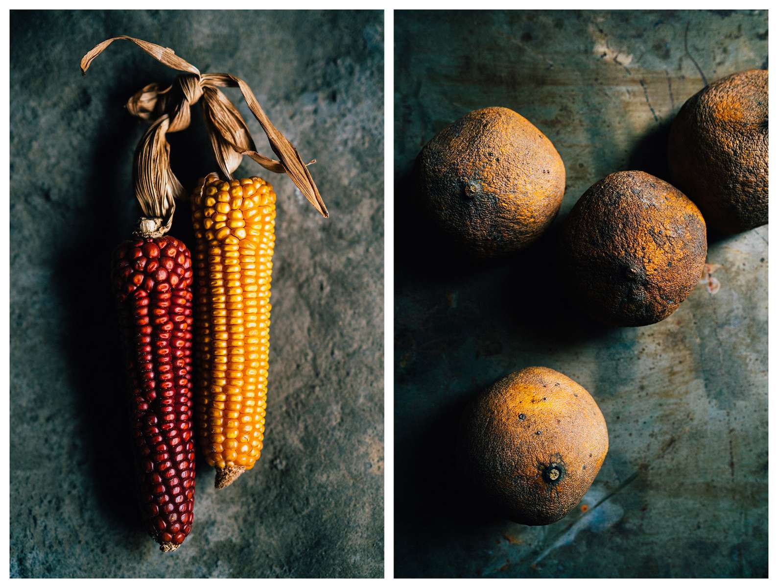 Corn and citrus in various stages of rot and preservation for Song Cai Distillery.