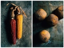 Corn and citrus in various stages of rot and preservation for Song Cai Distillery.