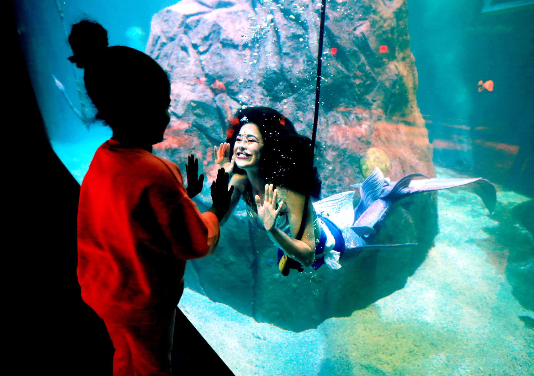 Mermaids arrived at the Adventure Aquarium in Camden.