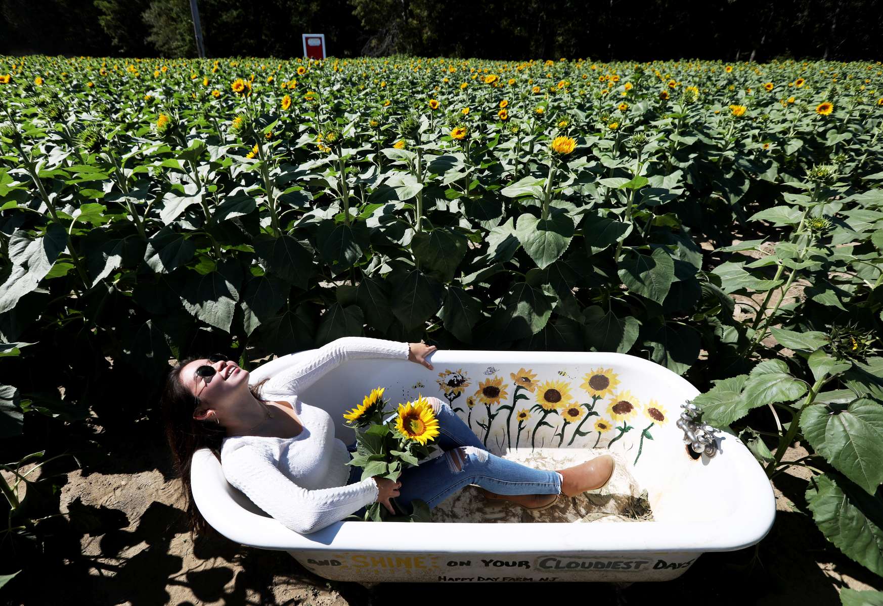 Annabella LaMantia relaxes in a bathtub surrounded by sunflowers at Happy Day Farm in Manalapan.