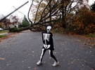 Aidan Christman, 10 of Scotch Plains plays in his Halloween costume on Montague Street to celebrate Halloween with neighbors after Hurricane Sandy in Scotch Plains.  Trick or Treating was cancelled due to the hurricane. 