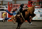 Gabriella Cangellsi has her ride cut short as she is tossed by the bull Setting Red during bull riding at the Silver Bit and Spur Farm in Whitehouse Station.