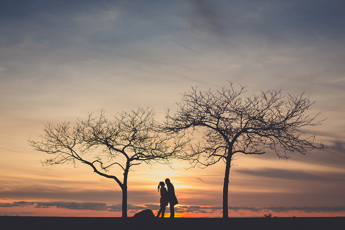 silhouette of couple embracing between two trees during sunset at the outer harbor in Buffalo NY during their wedding anniversary