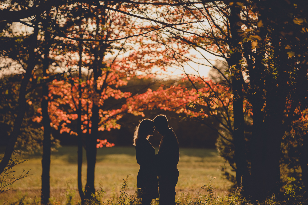 couple stands in silhouette during the fall in ellicottville, NY  during their wedding engagement photography session