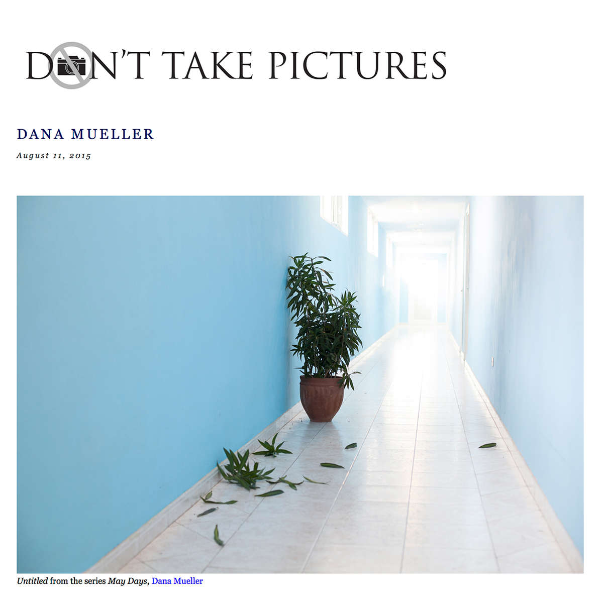 Don't Take Pictures is a biannual print, online & tablet-ready magazine founded by Editor-in-Chief Kat Kiernan (US). DTP featured Untitled, May Days as part of their Photo of the Day series.Photo of the Day Archive