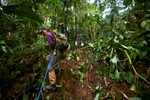 Anna Cohen makes her way back down from a cache of 51 artefacts found in the Mosquitia jungle.