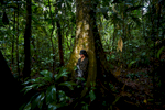 A Honduran soldier finds a refuge from rain in the jungle while providing protection to the group of specialists examining a cache of artefacts.