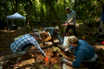 Archeologists begin excavating the cache of artifacts found last year in the Mosquitia jungle.