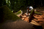 Archeologists begin removing artifacts from the cache site in the Mosquitia jungle in Honduras.