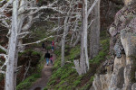 Point Lobos State Reserve.