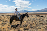 A cowboy alongside Route 50, Nevada.
