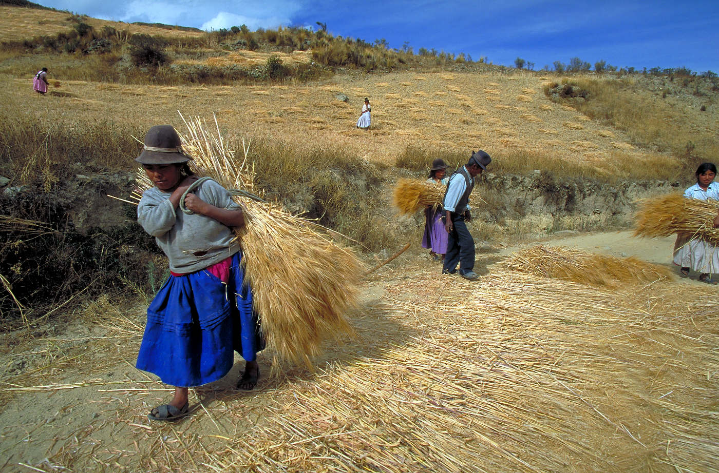 Farmers, Altiplano, Bolivia.