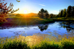 Sunset-over-Golf-Course-Pond-4x6-2