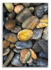 backyard-pebbles-with-dropshadow