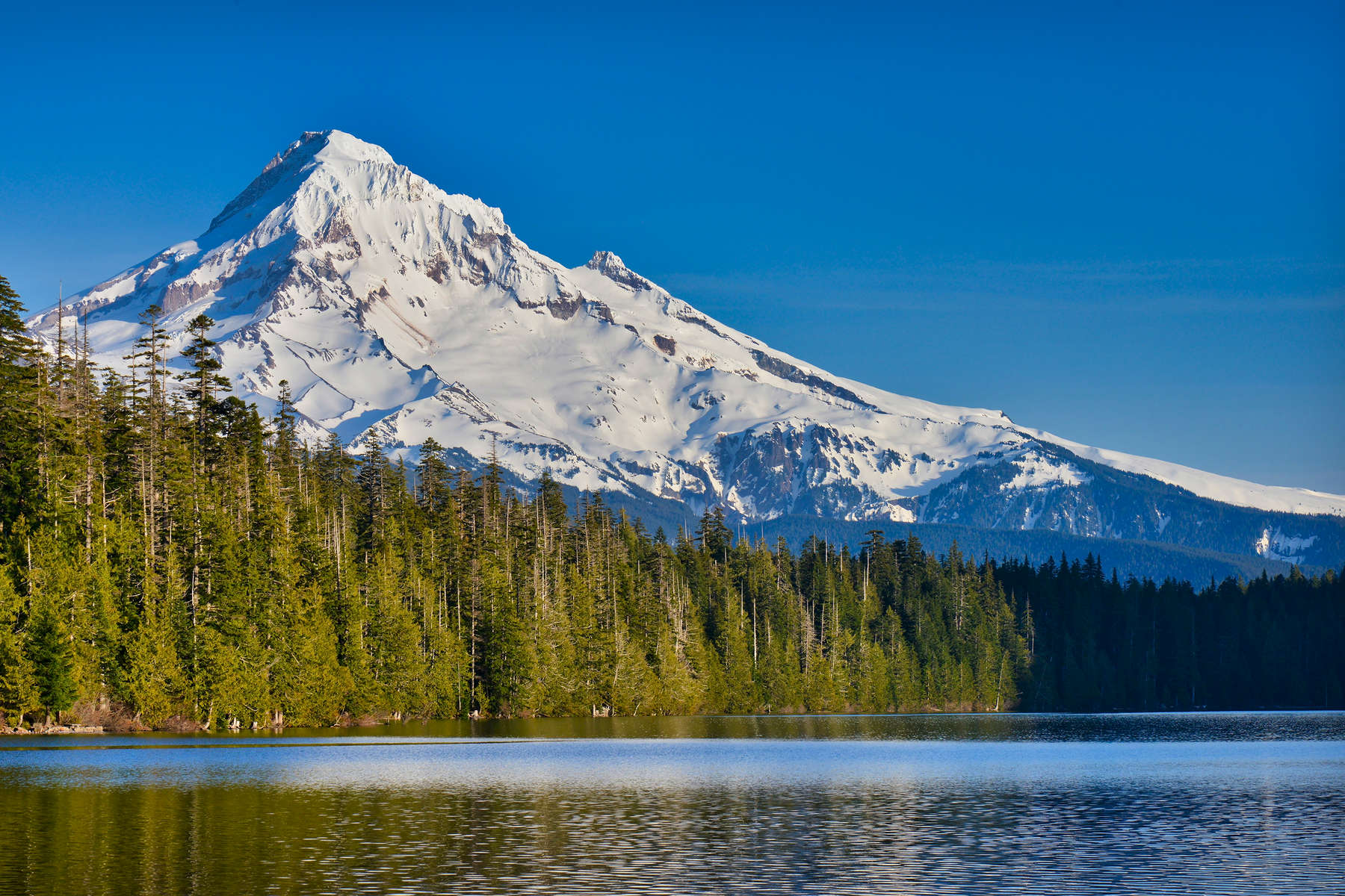 trout-lake-mt-hood-1-for-web