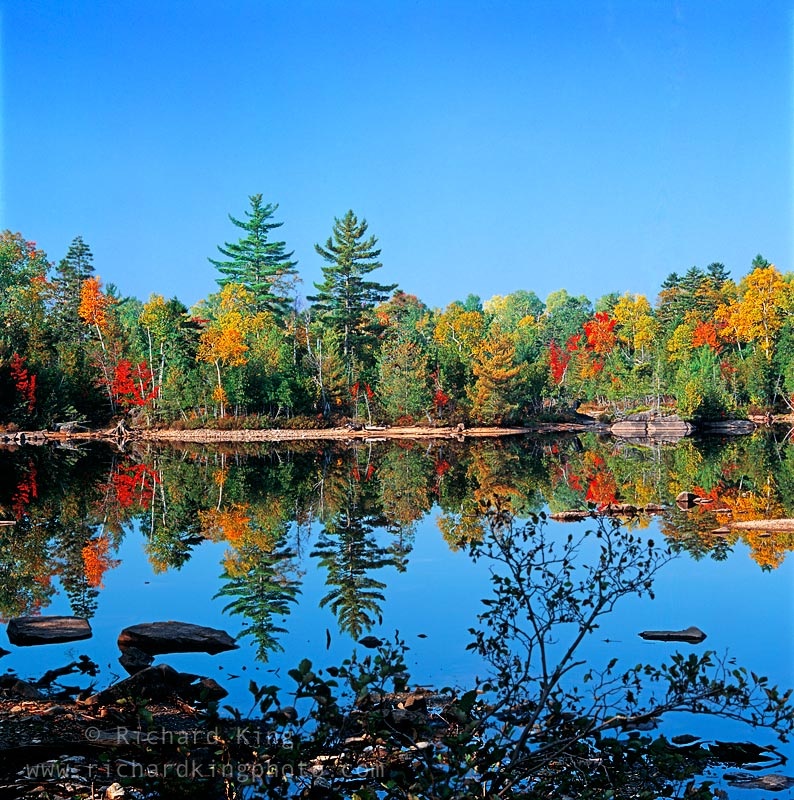 Autumn In Maine