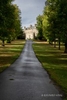 Colour photograph of a pathway and avenue of connifer trees leading to Buscot House in Buscot Park