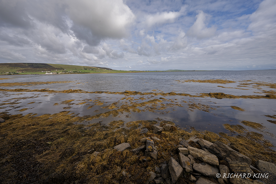 Seascape Mainland Orkney