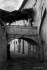Umbria, ItalyImage No: 15-028737-bwClick HERE to Add to Cart