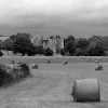 East Sussex, EnglandImage no: 080611.0304-bwClick HERE to Add to Cart