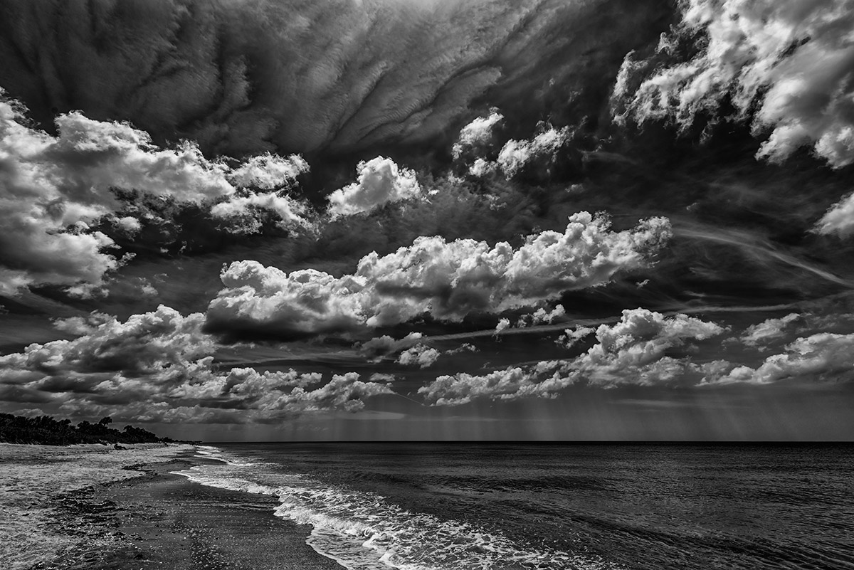 Venice, Florida, USAImage No: 13-014186-bw   Click HERE to Add To Cart
