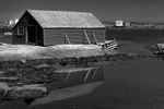 Newfoundland, CanadaImage no: 19-007418-bw  Click HERE to Add to Cart
